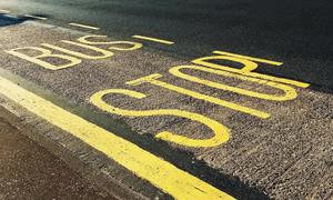 Winter Activity Bus Routes