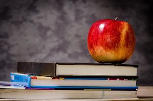 High School Resources