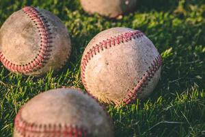 IHCC Baseball Camp