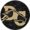Small_1538420921-dc_gold